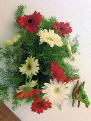 12027174_891701934217587_5502348683383654927_o