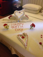 12120110_891702124217568_887150523138302362_o