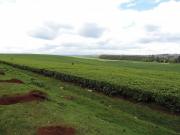 10446251_707604725960643_8666825850694004545_o