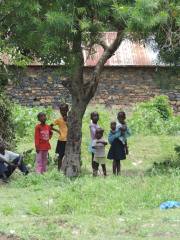 10535604_699042360150213_284464504677519133_o