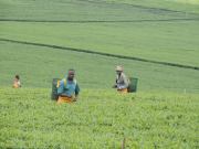 10551479_707604642627318_3629144123026034136_o