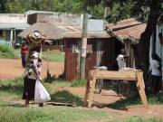 10553814_698381590216290_5512921354473908526_o