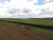 10661691_707604612627321_8646206411823577476_o