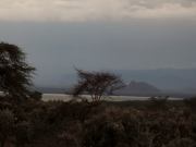 10708553_707605019293947_3242886303668773466_o