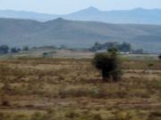 10714261_707604989293950_4614680351223237934_o