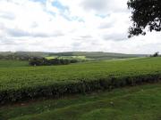 1979358_707604515960664_6855871998981527007_o