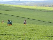 906695_707604709293978_6952907144507121953_o