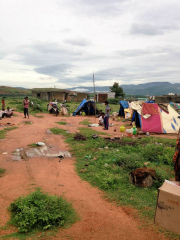 12087208_891699320884515_74834436317555522_o