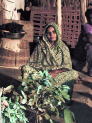 12188142_893839440670503_2712855796806225657_o