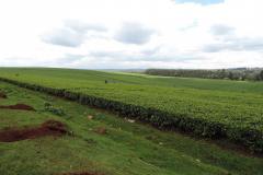 10446251_707604725960643_8666825850694004545_o