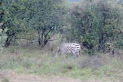 10470952_707605015960614_6194343102029345955_o